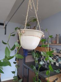 Hangplantpot
